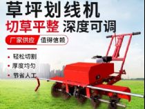 點(diǎn)擊查看詳細(xì)信息<br>標(biāo)題：草皮劃線(xiàn)機(jī) 閱讀次數(shù)：2076